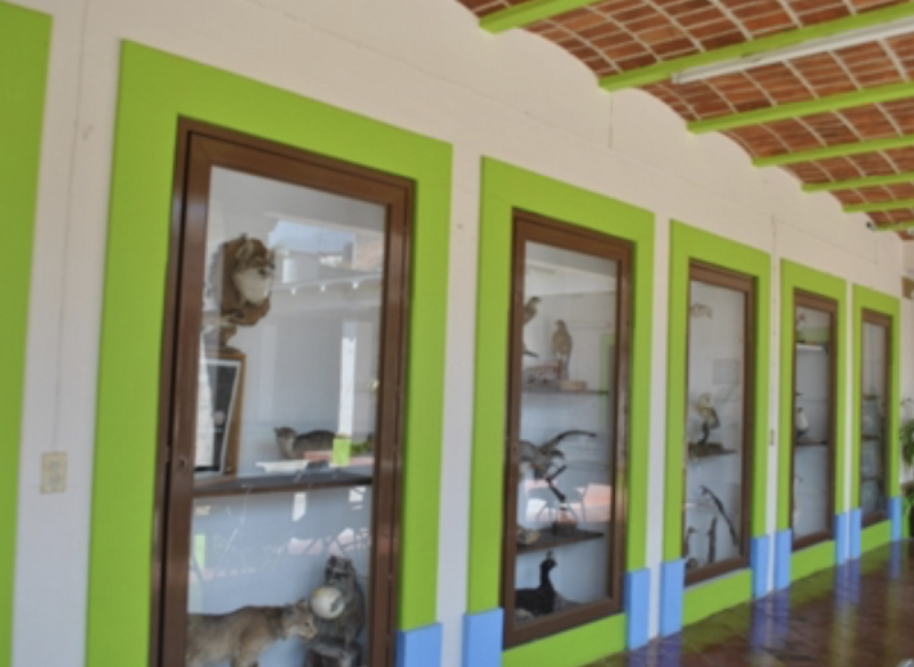 Museo de las Ciencias Naturales de la Cuenca de Sayula-1