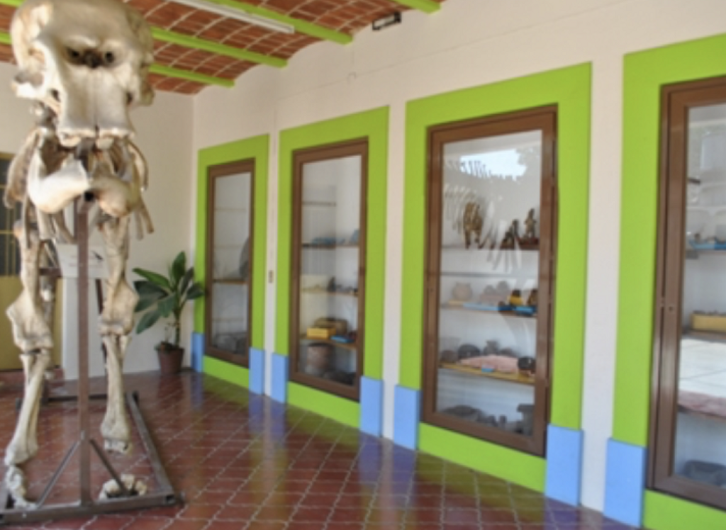 Museo de las Ciencias Naturales de la Cuenca de Sayula-2