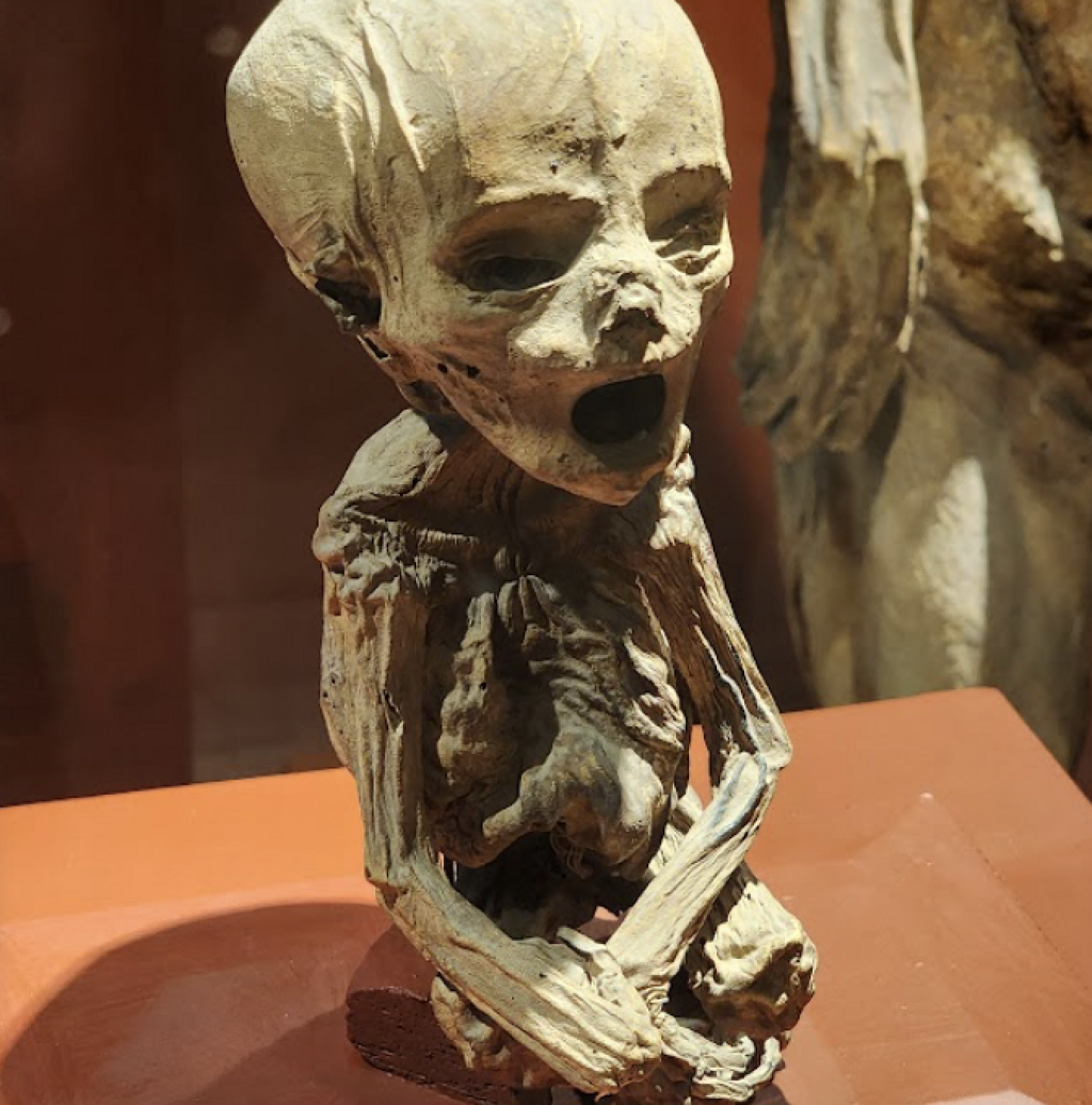 Museo de Momias-3