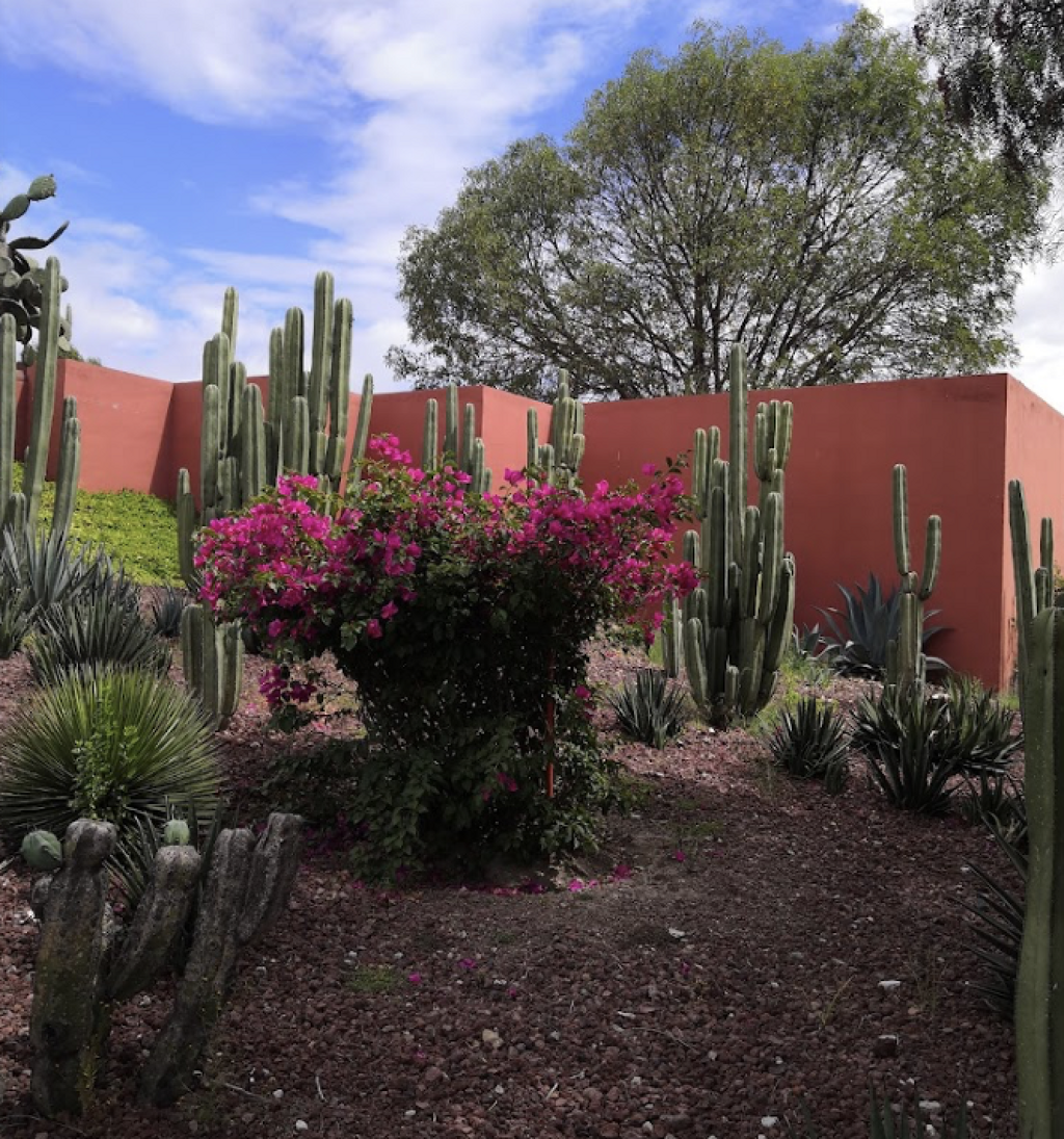 Museo de Murales Teotihuacanos Beatriz de la Fuente-1