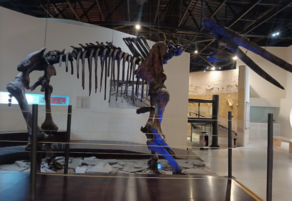 Museo de Paleontología de Guadalajara Federico A. Solórzano Barreto-1