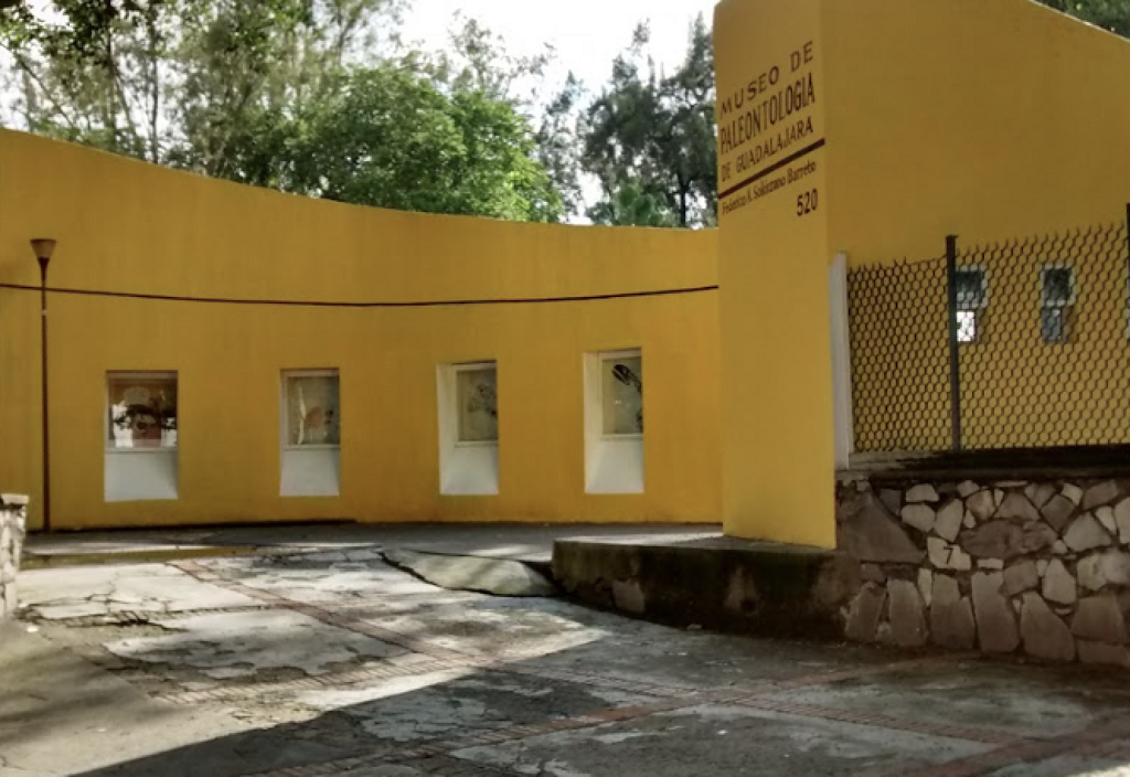 Museo de Paleontología de Guadalajara Federico A. Solórzano Barreto-3
