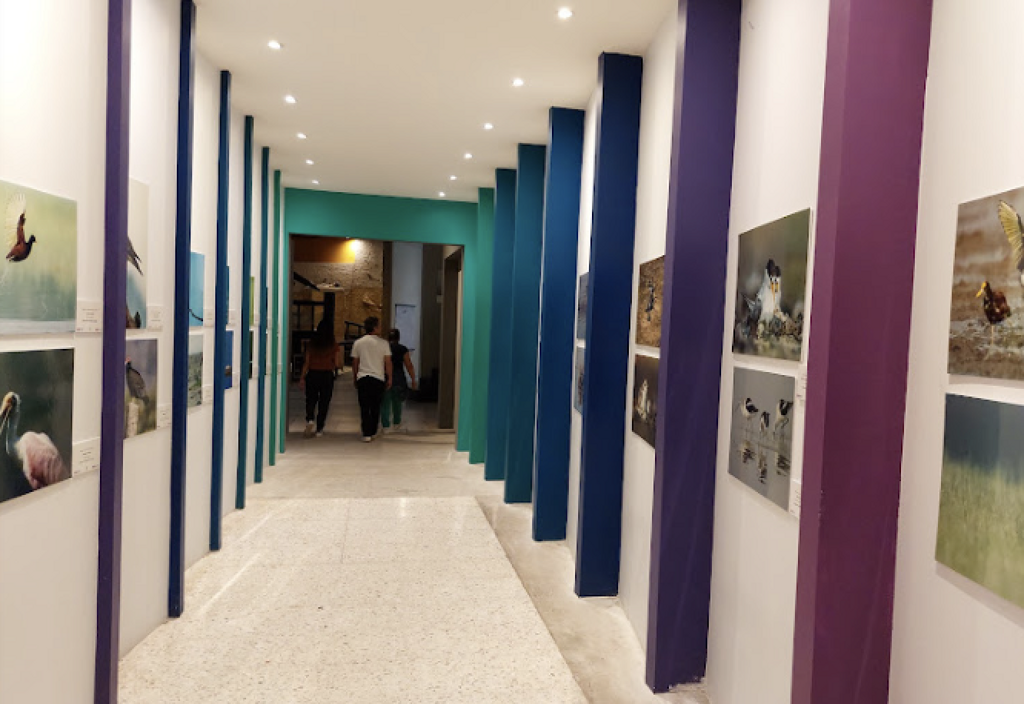 Museo de Paleontología de Guadalajara Federico A. Solórzano Barreto-2