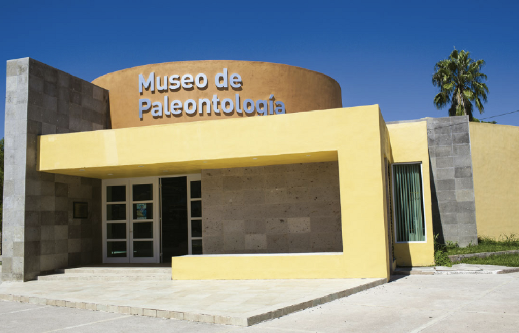 Museo de Paleontología de Múzquiz-0