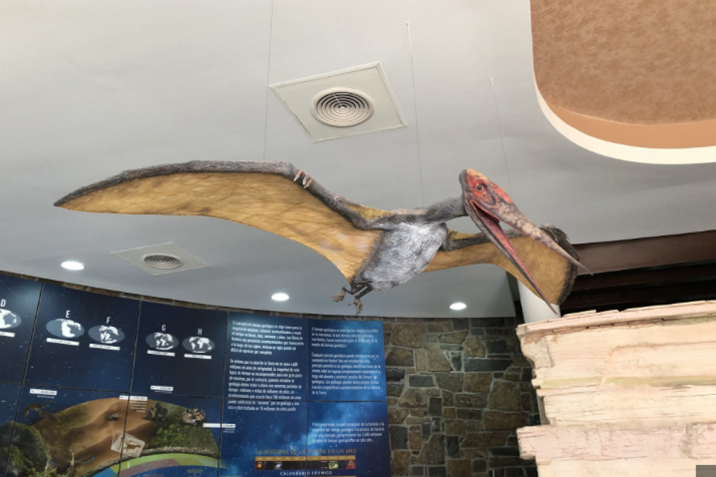 Museo de Paleontología de Múzquiz-1