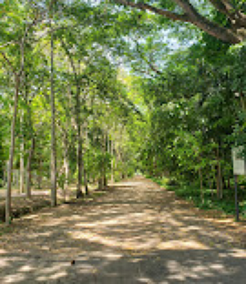Museo de Sitio de Comalcalco-1