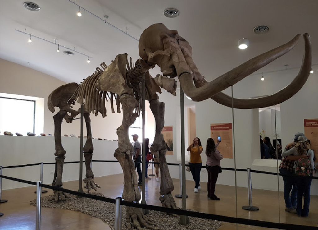 Museo de Sitio de la Zona Arqueológica del Cerro de Trincheras-0