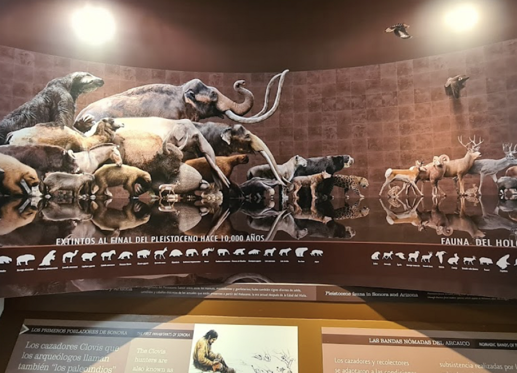 Museo de Sitio de la Zona Arqueológica del Cerro de Trincheras-1