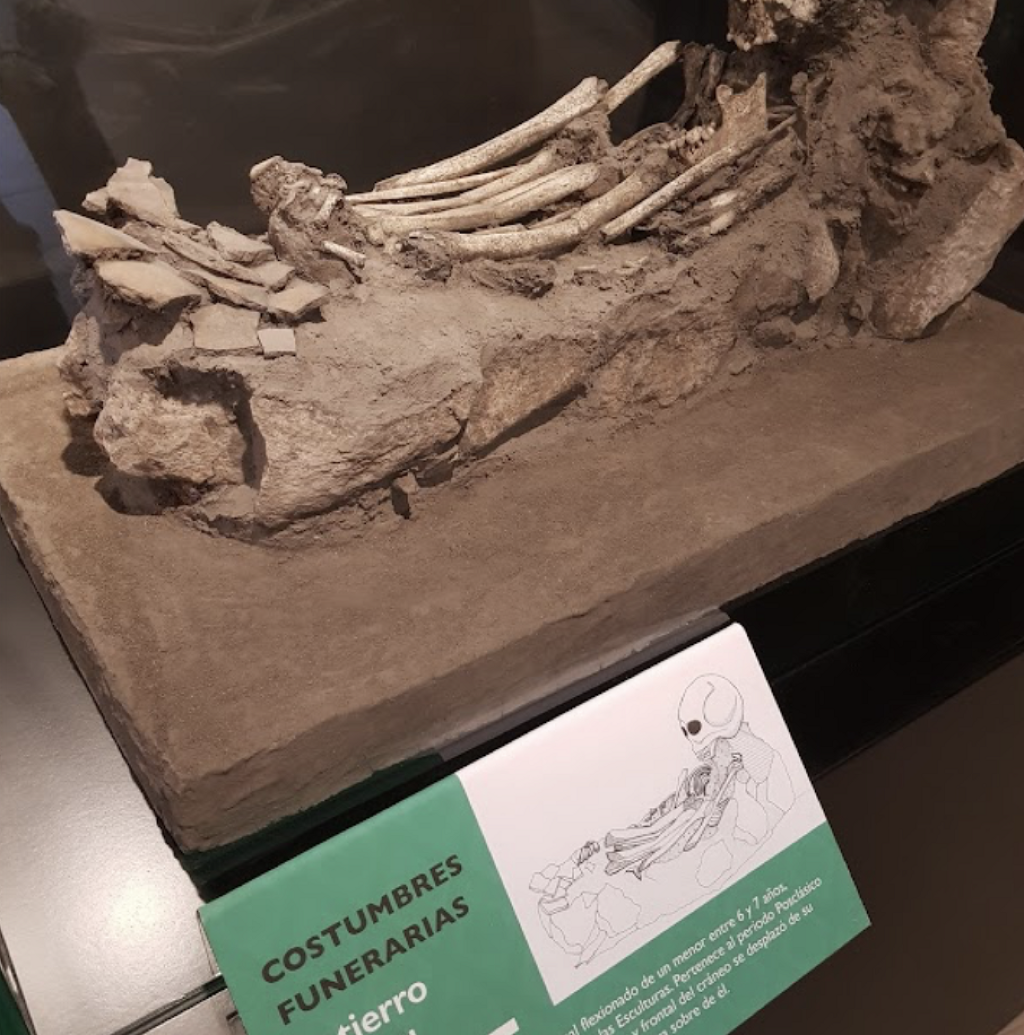 Museo de Sitio de la Zona Arqueológica El Cerrito-1