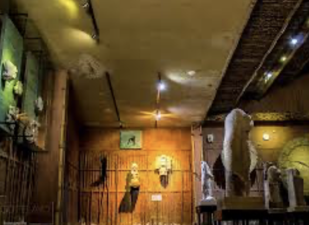 Museo de Sitio de Toniná-0