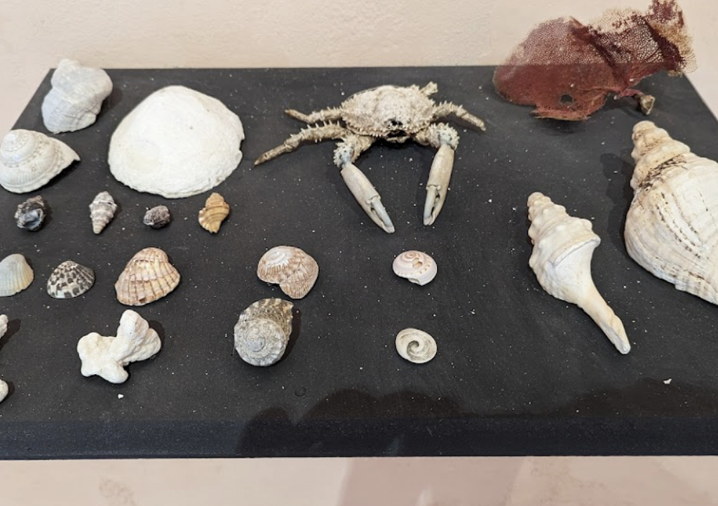 Museo de Sitio islas Marías, iSma-0