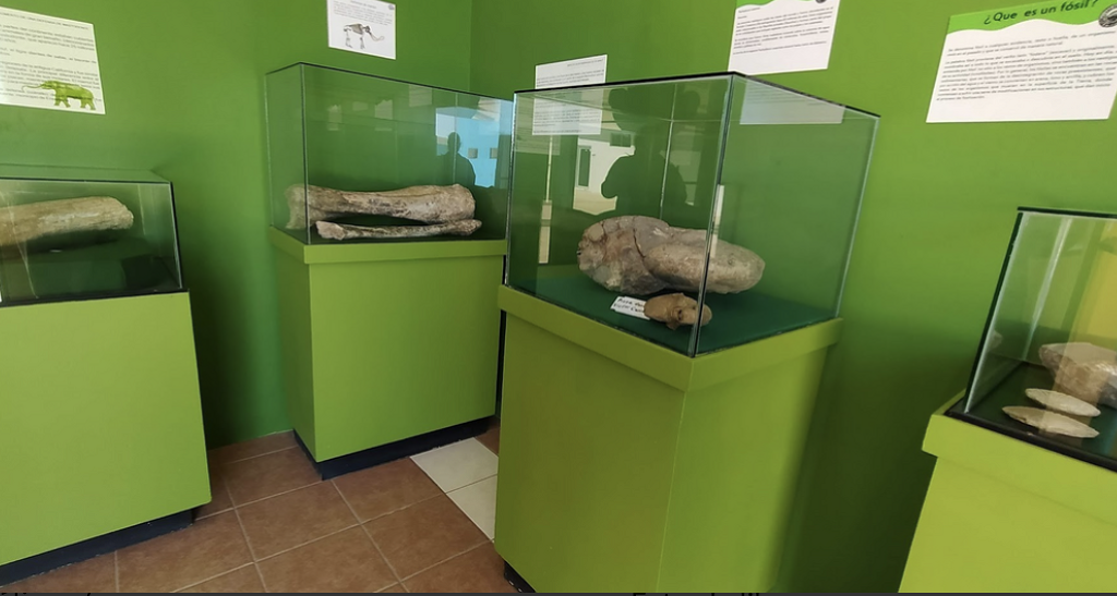 Museo de sitio Wa-Kuatay-0