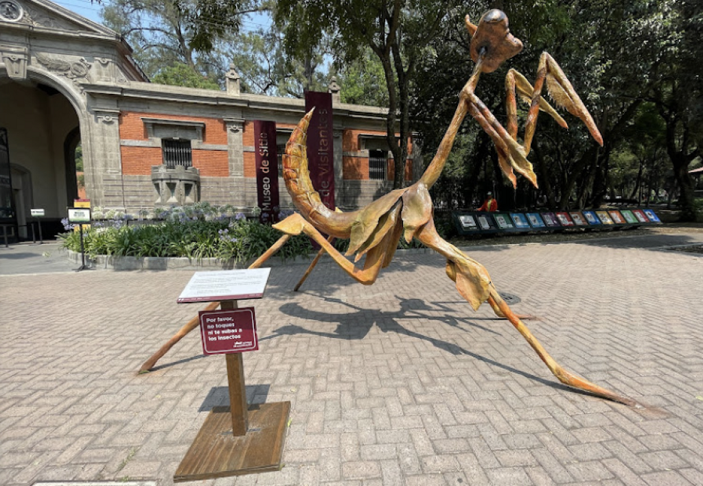 Museo de Sitio y Centro de Visitantes del Bosque de Chapultepec-1