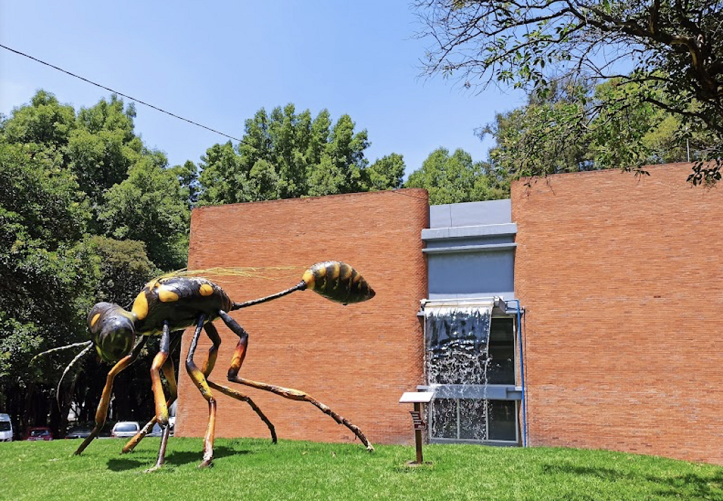 Museo de Sitio y Centro de Visitantes del Bosque de Chapultepec-2