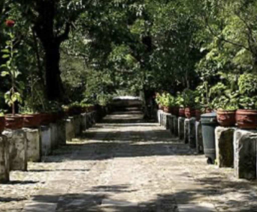Museo del Centro Cultural Jardín Borda-1