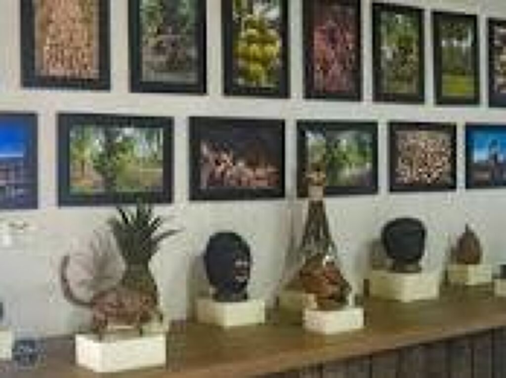 Museo del coco-0