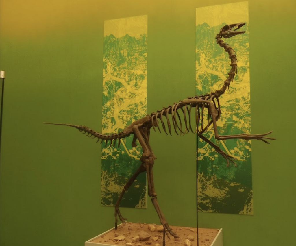 Museo del Desierto Chihuahuense (MUDECH)-0