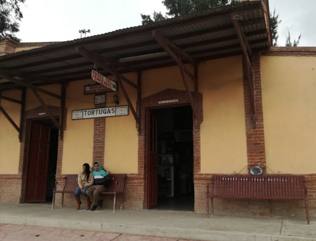 Museo del Ferrocarril, Tortugas-2
