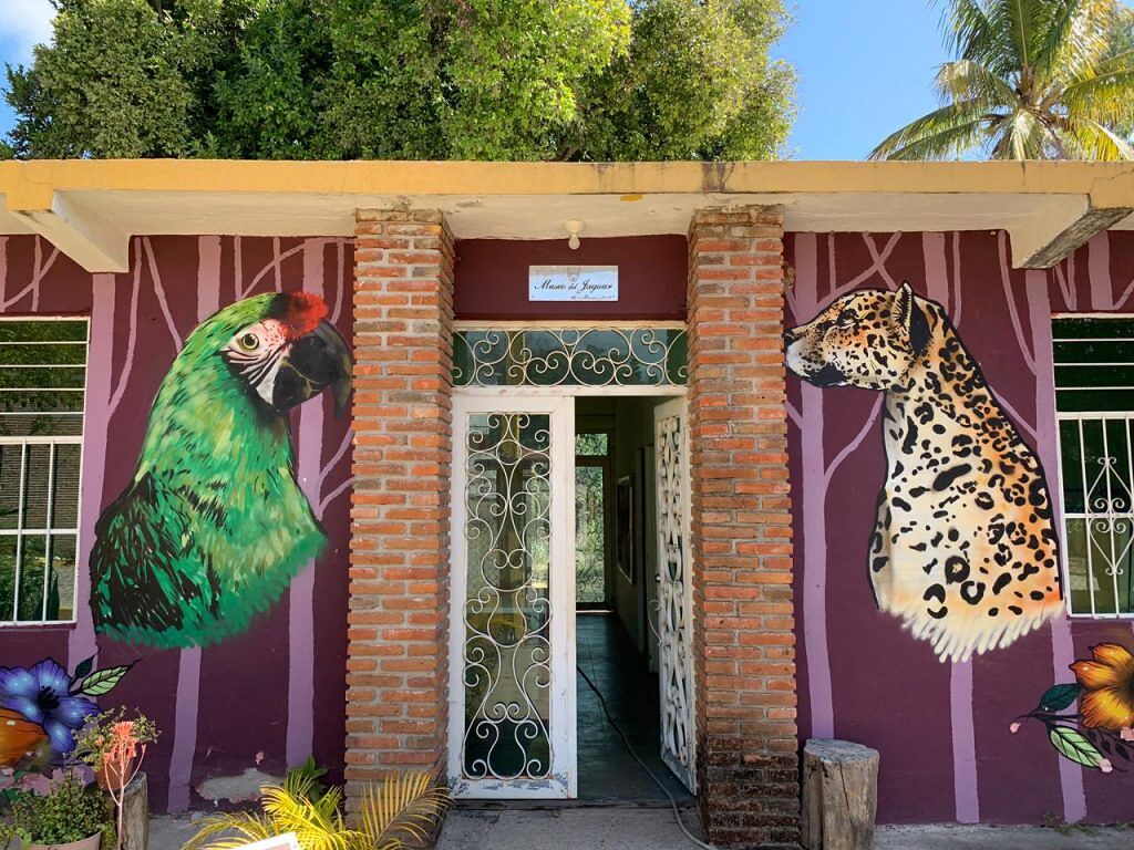 Museo del Jaguar-1