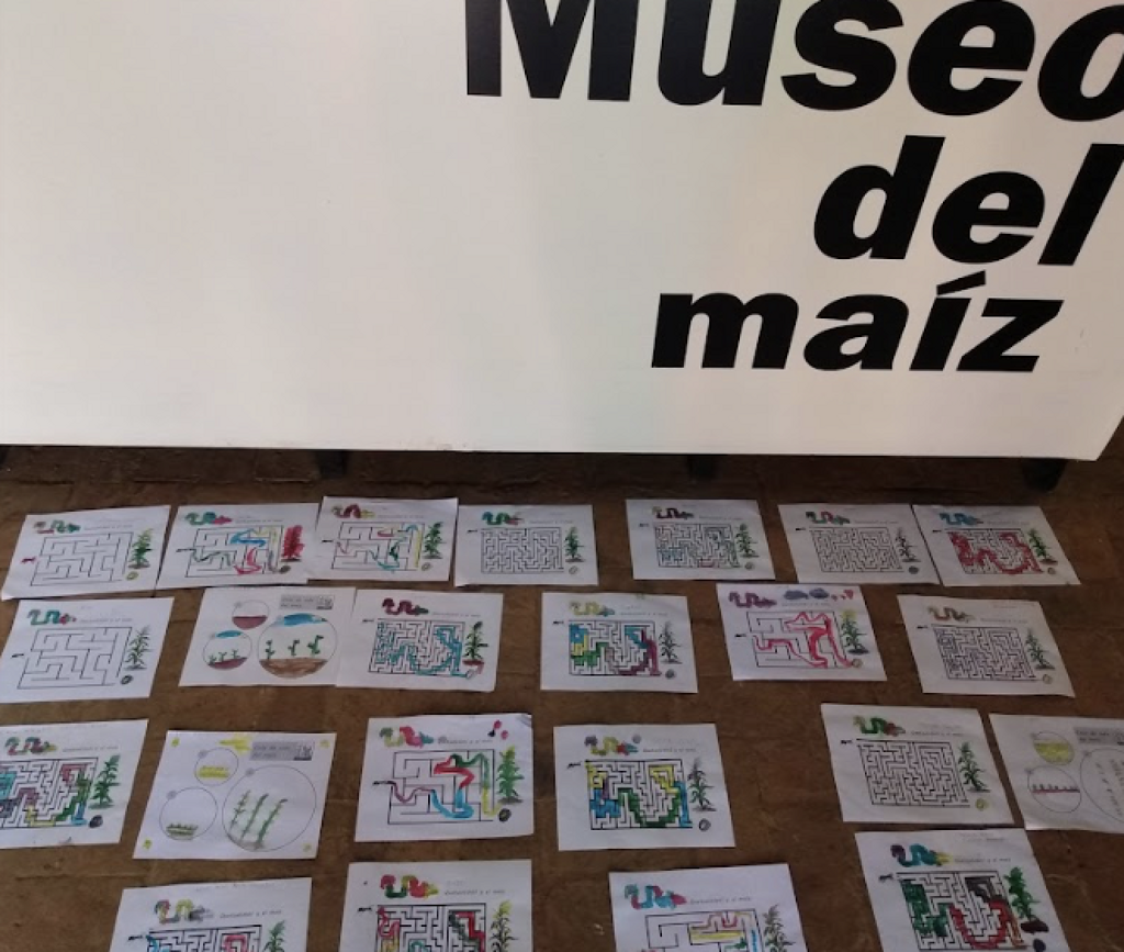 Museo del Maíz (MUDMA)-2