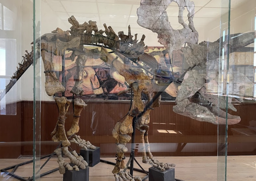 Museo del Mamut-0