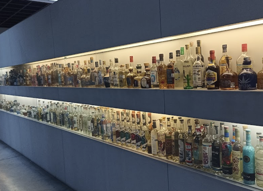 Museo del Tequila y el Mezcal (MUTEM)-0