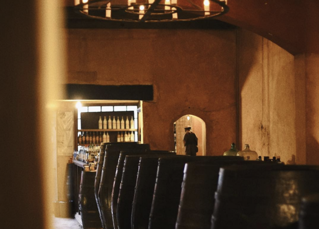 Museo del Vino La Primavera-0