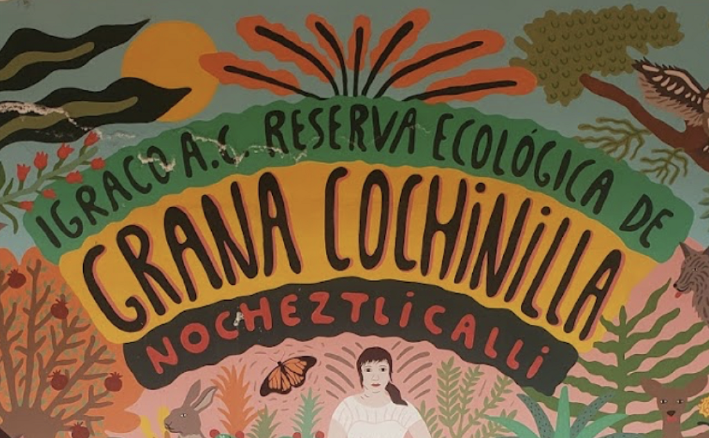 Museo Ecológico de la Grana Cochinilla Nocheztlicalli y Nopal-2