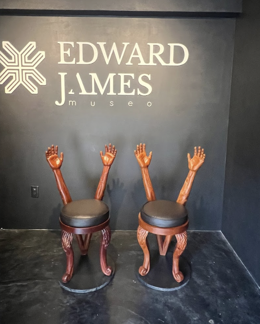 Museo Edward James-5