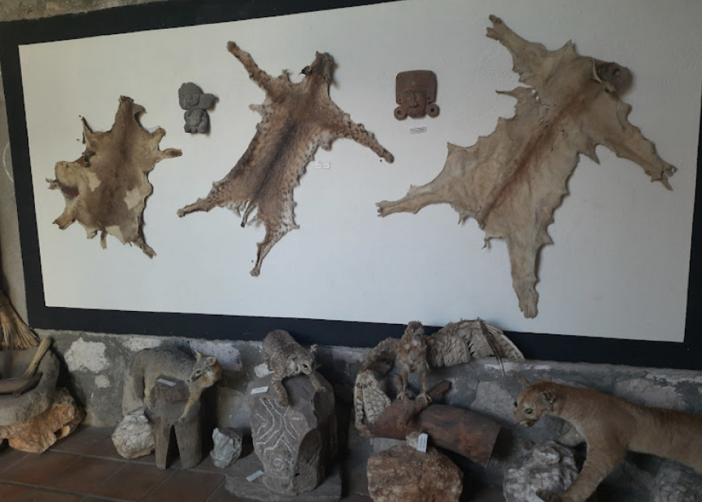 Museo El Fuerte Mirador-2
