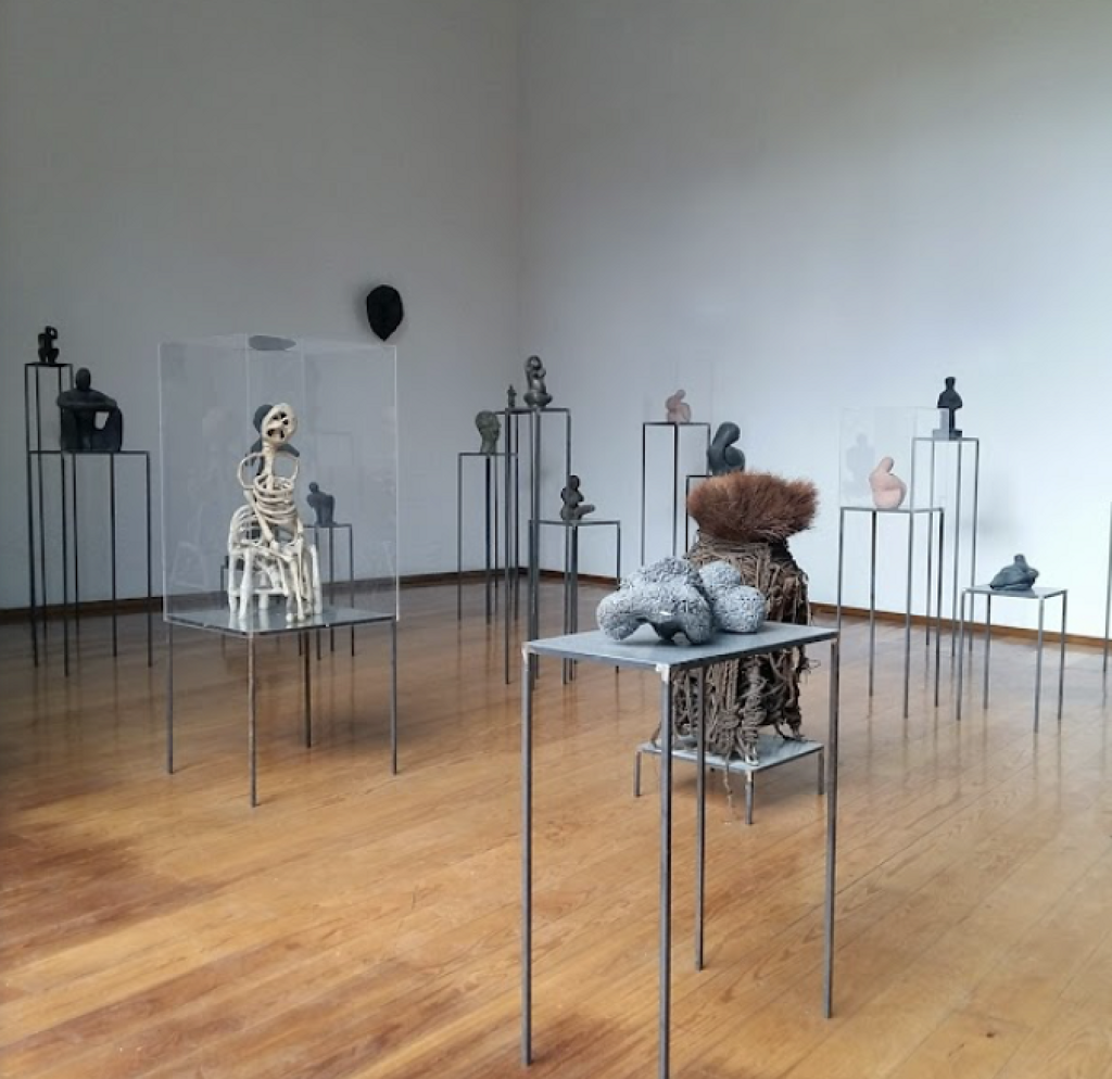Museo Experimental El Eco-4