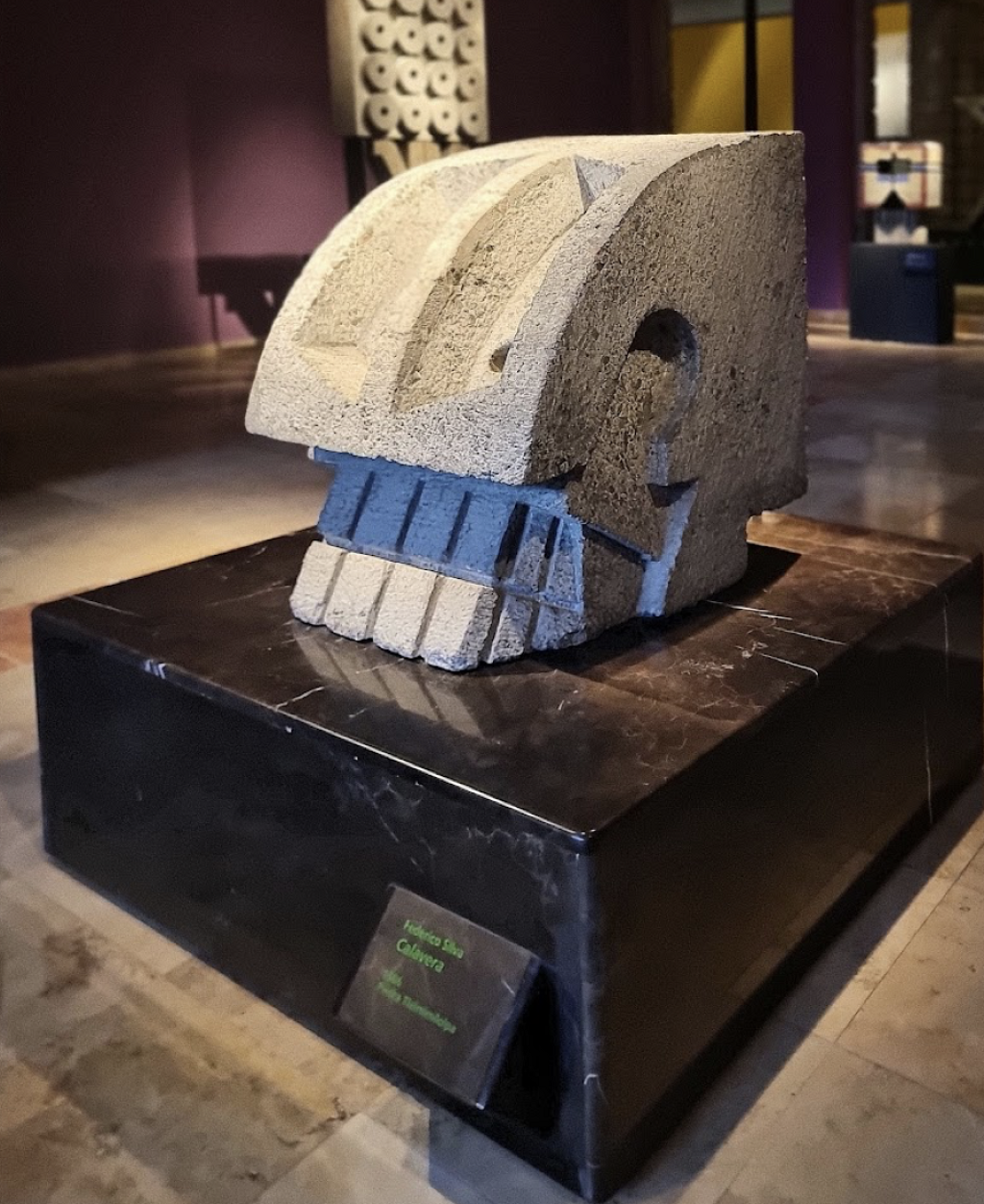 Museo Federico Silva-1