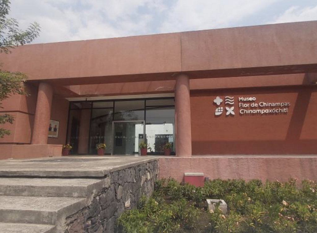 Museo Flor de Chinampas (Chinampaxochitl)-4
