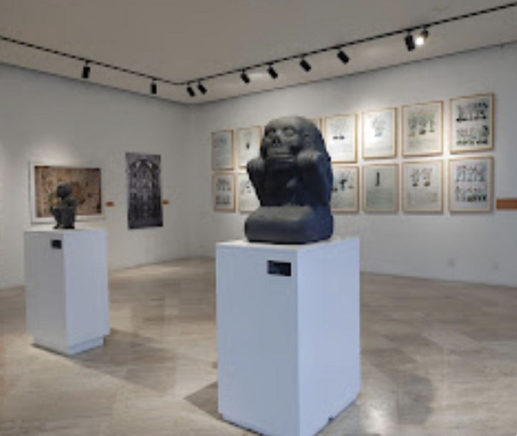 Museo Flor de Chinampas (Chinampaxochitl)-0