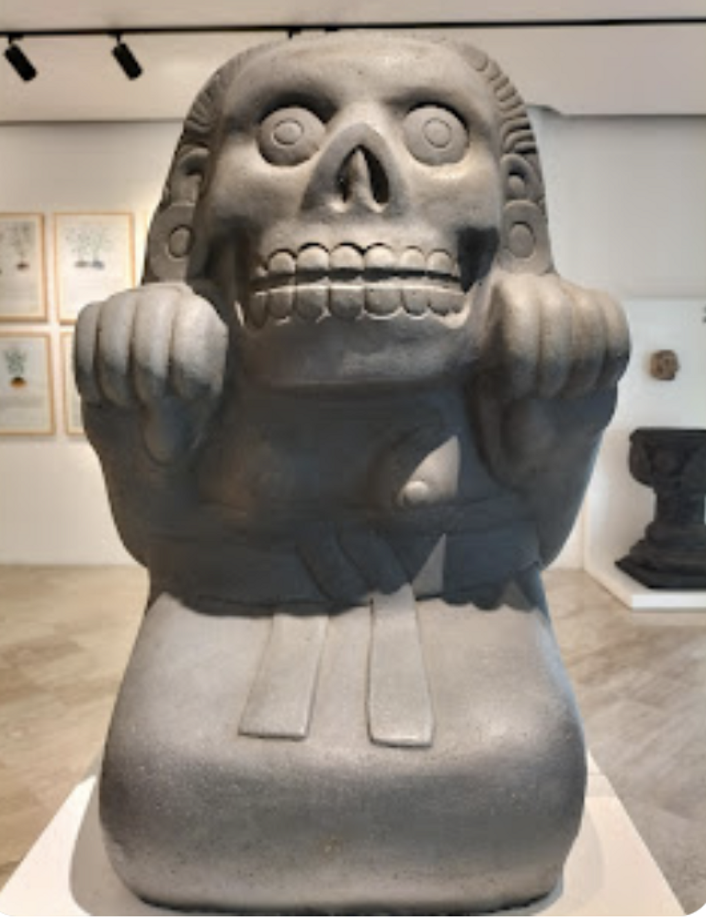 Museo Flor de Chinampas (Chinampaxochitl)-1