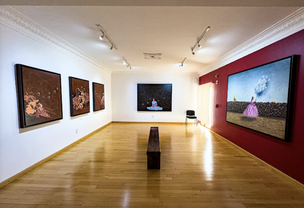 Museo Francisco Goitia-0