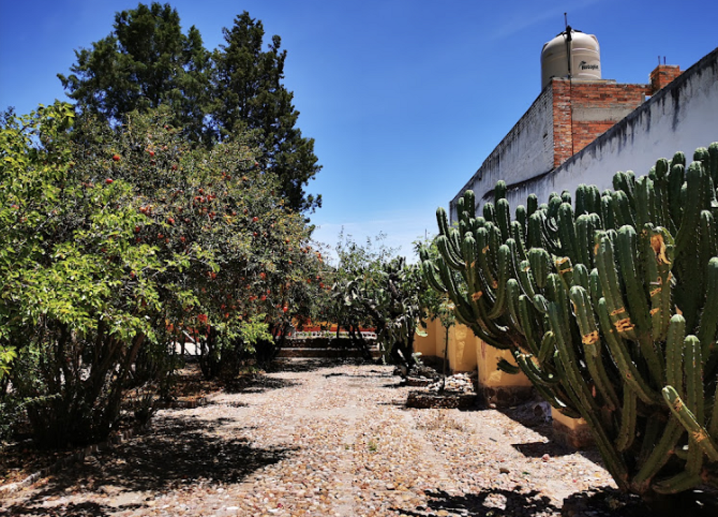 Museo Histórico Casa de Hidalgo (La Francia Chiquita)-3