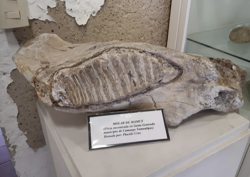Museo Histórico Reynosa -1