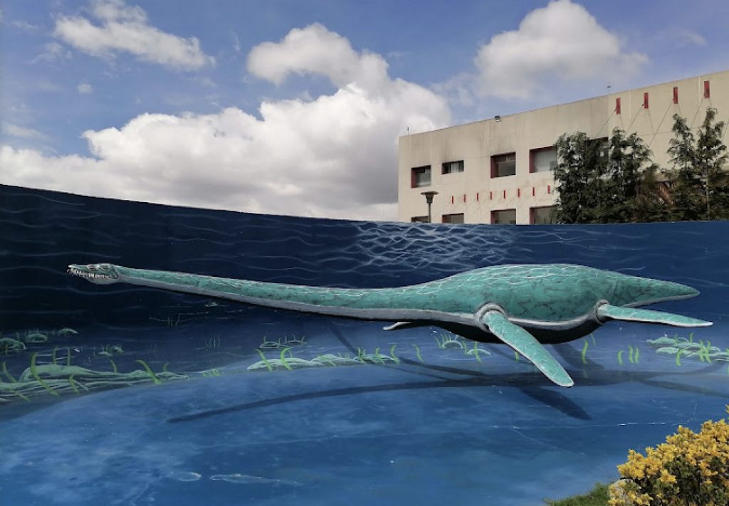 Museo Interactivo para la Niñez y Juventud Hidalguense El Rehilete-3