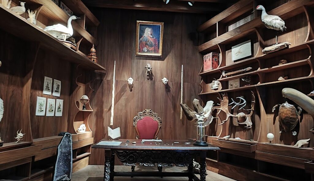 Museo Internacional del Barroco-1