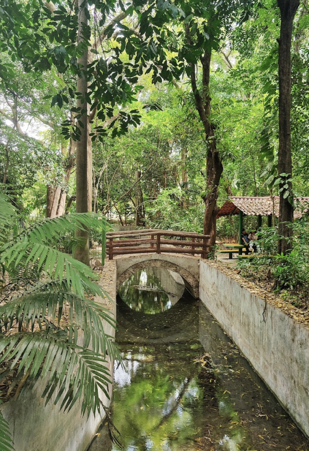 Museo Jardín Botánico Faustino Miranda-0