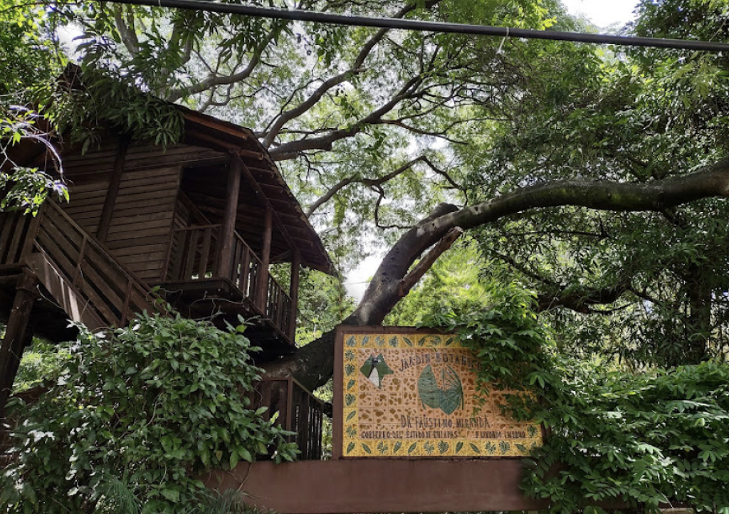 Museo Jardín Botánico Faustino Miranda-2