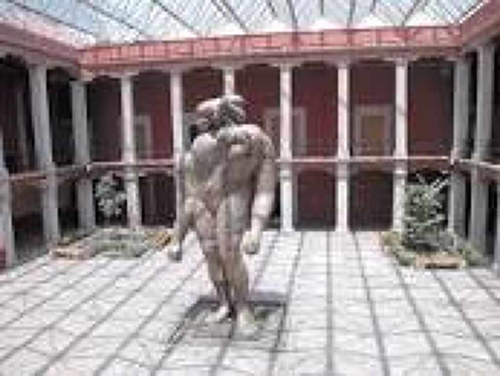 Museo José Luis Cuevas-2