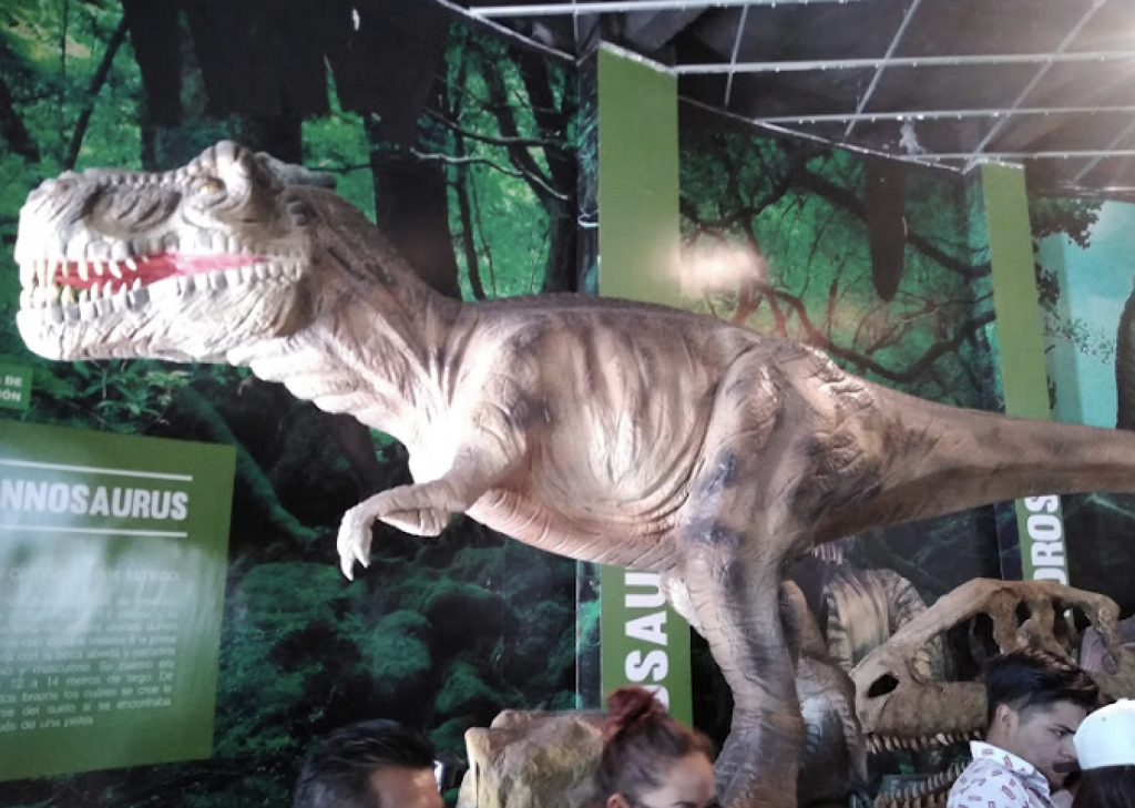 Museo Jurasica-0