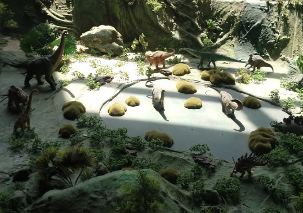 Museo Jurasica-2