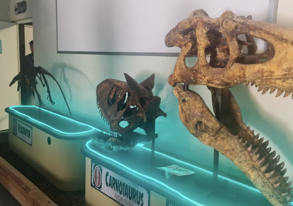 Museo Jurasica-4