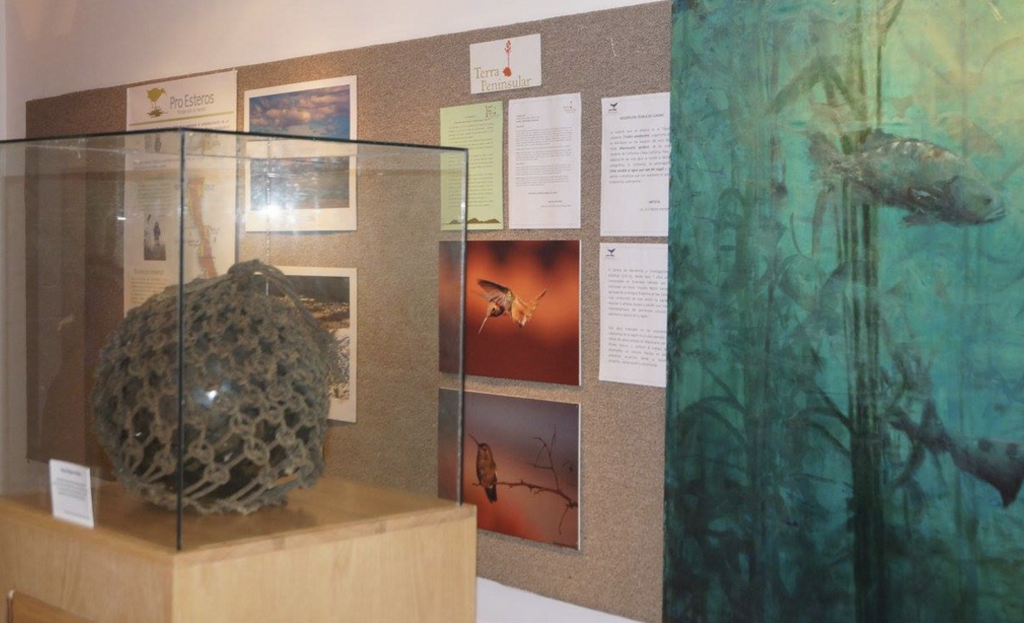 Museo Katsuo-1
