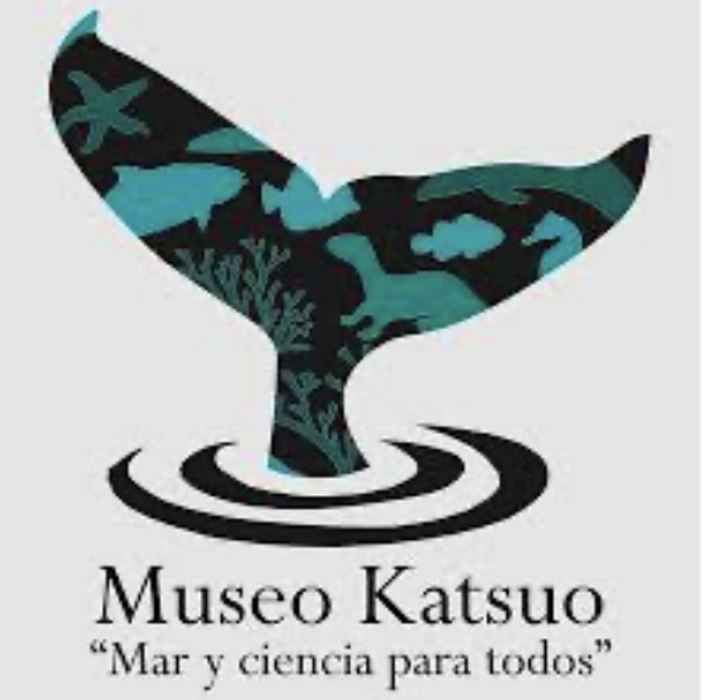Museo Katsuo-2