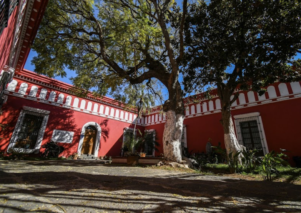 Museo La Magnolia-3