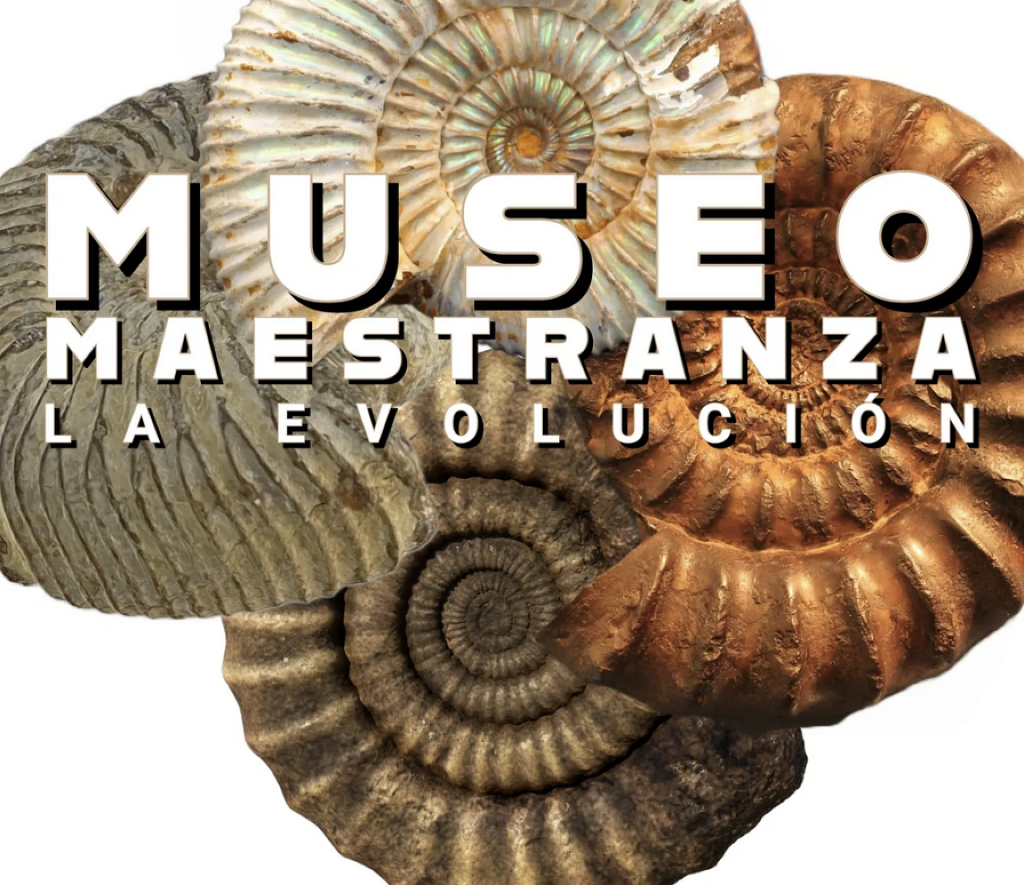 Museo Maestranza La Evolución-2